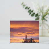 Carte Postale Cousets de la nature (Debout devant)