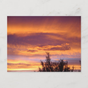 Carte Postale Cousets de la nature