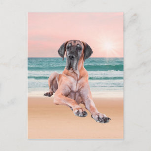 Carte Postale Coutume Grand Chien Danse assis sur la plage