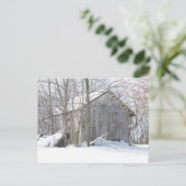 Carte Postale Couvercle neigeux (Debout devant)