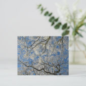 Carte Postale Couvert d'arbre hivernal (Debout devant)