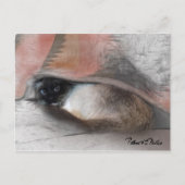 Carte Postale Couverture pour chat siamois adorable qui vous fai (Devant)