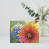 Carte Postale Couvertures et Bonnets (Debout devant)