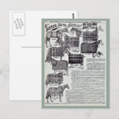 Carte Postale Couvertures pour chevaux (Devant / Derrière)