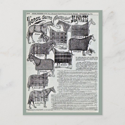 Carte Postale Couvertures pour chevaux (Devant)
