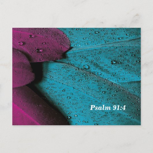 Carte Postale Couvre-Moi de Tes Ailes (Dos)