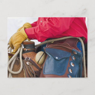Carte Postale Cow-boy sur un cheval portant des chaps en cuir