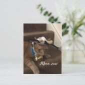 Carte Postale Cow Lancelot (Debout devant)