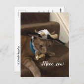 Carte Postale Cow Lancelot (Devant / Derrière)