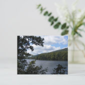 Carte Postale cowans gap state park pennsylvania lake tree (Debout devant)