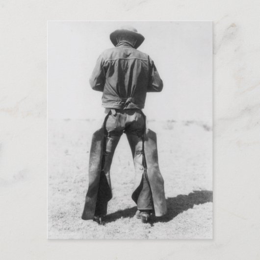 Carte postale Cowboy (Devant)
