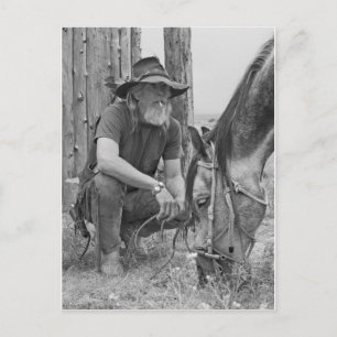 Carte Postale Cowboy