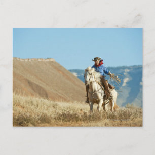 Carte Postale Cowboy 13