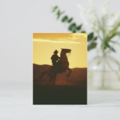 Carte Postale Cowboy à cheval d'élevage (Debout devant)