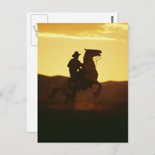 Carte Postale Cowboy à cheval d'élevage (Devant / Derrière)