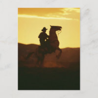 Cowboy à cheval d'élevage