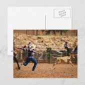 Carte Postale Cowboy à ropper le veau en rodéo (Devant / Derrière)