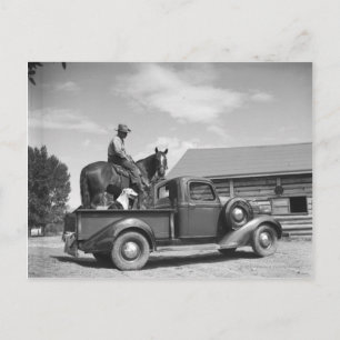 Carte Postale Cowboy avec cheval dans un camion