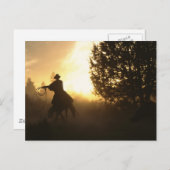 Carte Postale Cowboy avec Lasso au coucher du soleil (Devant / Derrière)