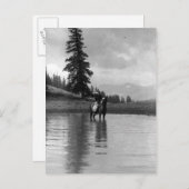 Carte Postale Cowboy dans un étang (Devant / Derrière)