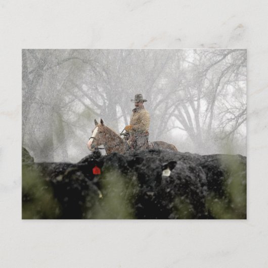 Carte Postale Cowboy en hiver (Devant)