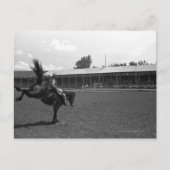 Carte Postale Cowboy équitation en rodéo, (B&W) (Devant)