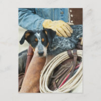 Cowboy et chien à cheval