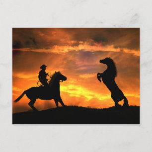 Carte Postale Cowboy et Wild Horse Pays d'élevage Western