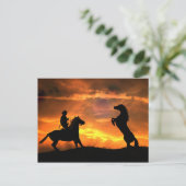 Carte Postale Cowboy et Wild Horse Pays d'élevage Western (Debout devant)