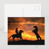 Carte Postale Cowboy et Wild Horse Pays d'élevage Western (Devant / Derrière)
