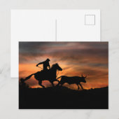 Carte Postale Cowboy Horse et Steer Southwestern Sunset Rodeo (Devant / Derrière)