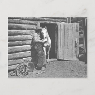 Carte Postale Cowboy lisant une lettre