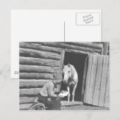 Carte Postale Cowboy lisant une lettre avec un cheval (Devant / Derrière)