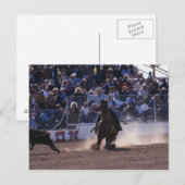 Carte Postale Cowboy Roping Calf à Rodeo (Devant / Derrière)