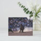 Carte Postale Cowboy Roping Calf à Rodeo (Debout devant)