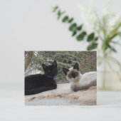 Carte Postale Cowboy & Shiva (Debout devant)