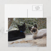 Carte Postale Cowboy & Shiva (Devant / Derrière)