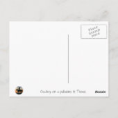 Carte Postale Cowboy sur un cheval palomino (Dos)