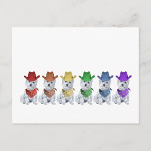 Carte Postale Cowboys Westie alignés