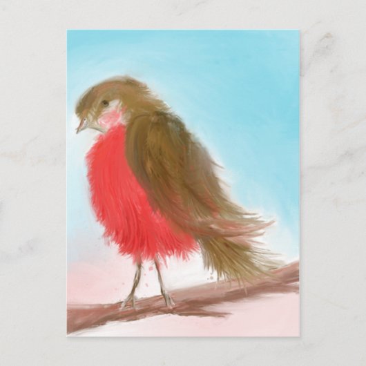 Carte postale Coy Robin (Devant)