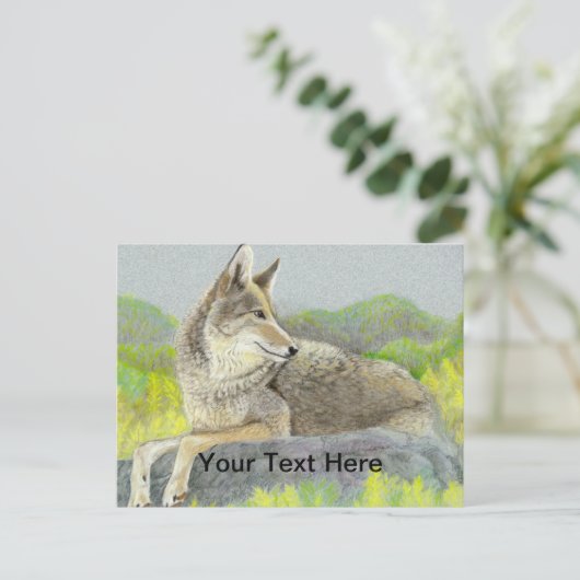 Carte Postale Coyote (Debout devant)