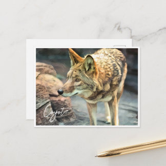 Carte Postale Coyote ポストカード