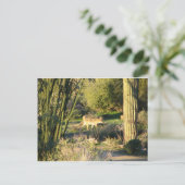 Carte postale Coyote_at_dawn (Debout devant)