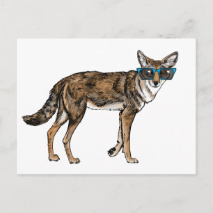 Carte Postale Coyote drôle de hippie avec des lunettes de soleil