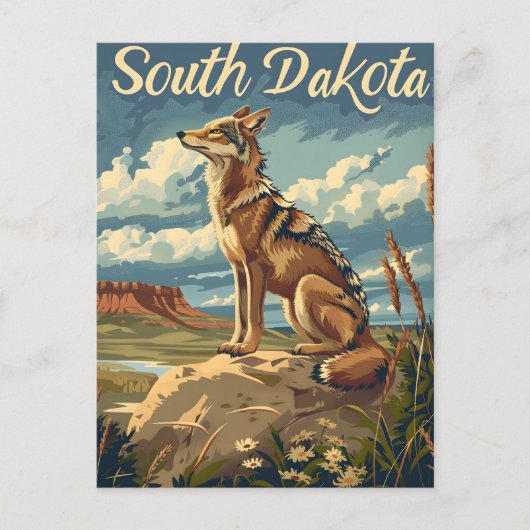 Carte Postale Coyote du Dakota du Sud (Devant)