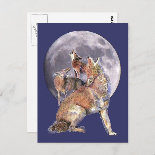 Carte Postale Coyote Pack Howling at the Moon (Devant / Derrière)
