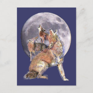 Carte Postale Coyote Pack Howling at the Moon