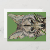 carte postale coyote par faceliketank (Devant / Derrière)