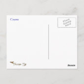 Carte postale Coyote Wildlife Series # 6 (Dos)