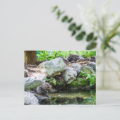 Carte postale Coypus (Debout devant)